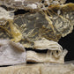 アンティークレース　dentelle ancienne 素材用　lots3 .FR a l'epoque