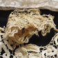 アンティークレース　dentelle ancienne 素材用　lots5 .FR a l'epoque