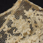 アンティークレース 襟3つ/dentelle ancienne/antique lace　 .FR a l'epoque