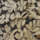 アンティークレース ブロンドレース/dentelle ancienne/antique lace .FR a l'epoque