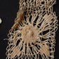 アンティークレースモチーフlots2/dentelle ancienne/antique lace .FR a l'epoque