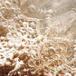 アンティークレース205cm/dentelle ancienne/antique lace .FR a l'epoque