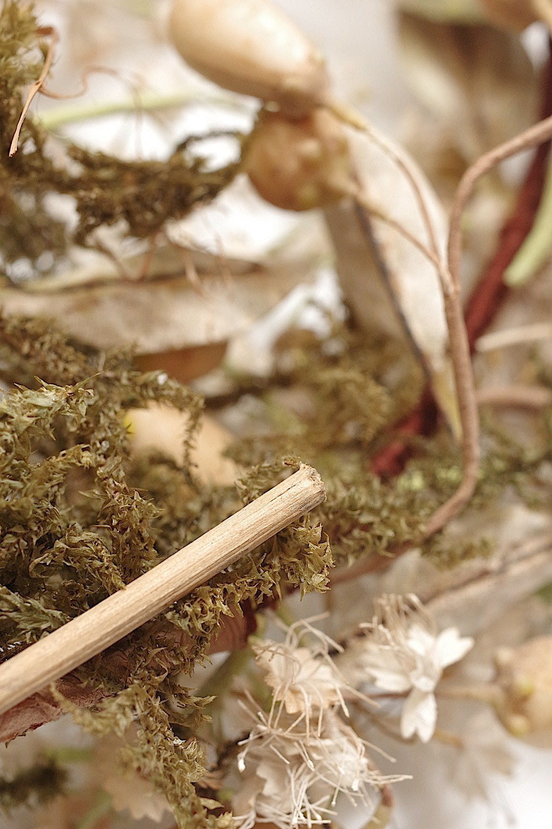 アンティークマリアージュ花/antique MARIEE FLEURS EN CIRE FLEUR ORANGER .FR a l'epoque