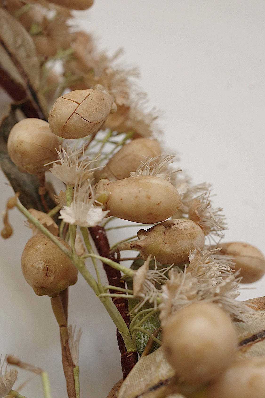 アンティークマリアージュ花/antique MARIEE FLEURS EN CIRE FLEUR ORANGER .FR a l'epoque