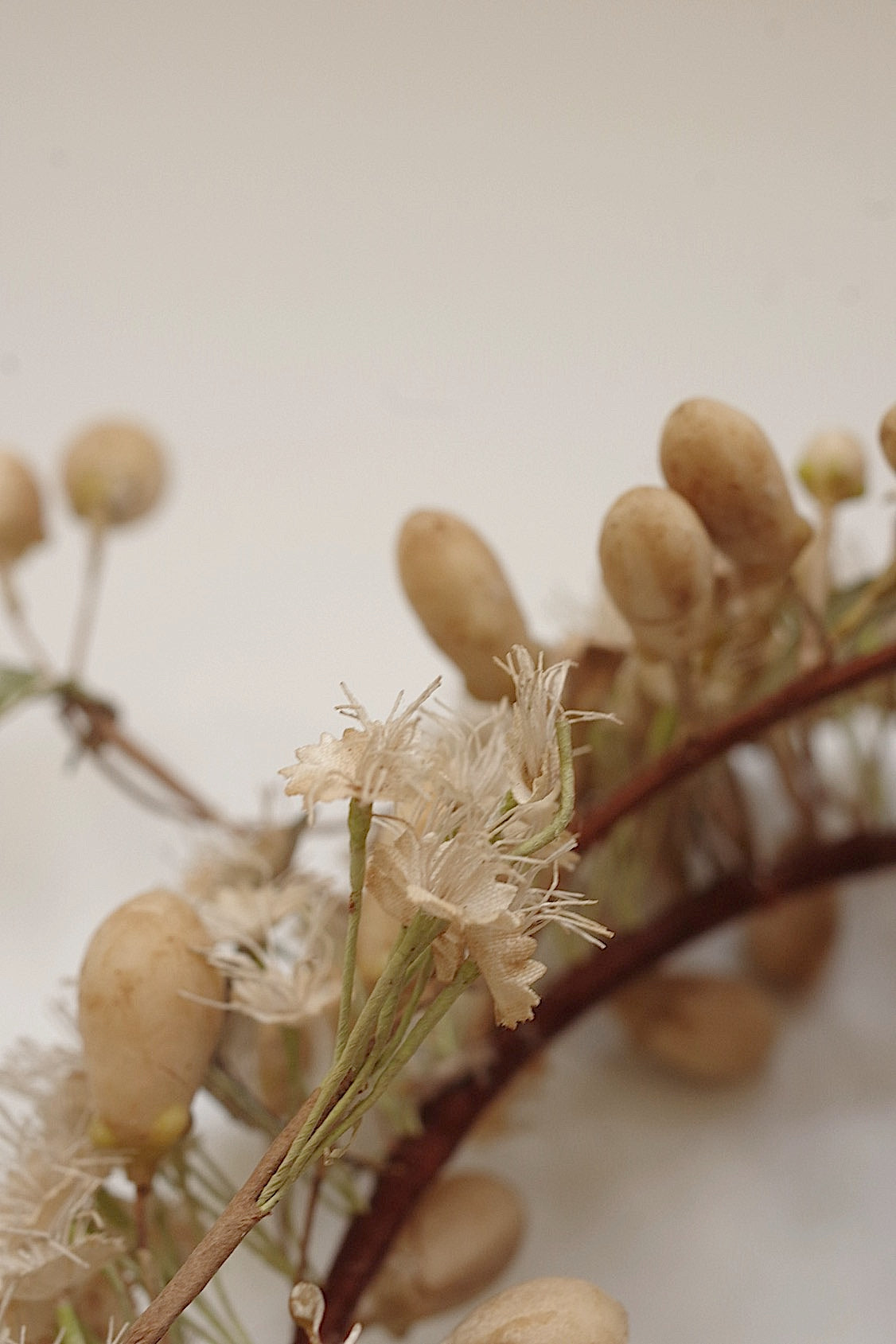 アンティークマリアージュ花/antique MARIEE FLEURS EN CIRE FLEUR ORANGER .FR a l'epoque