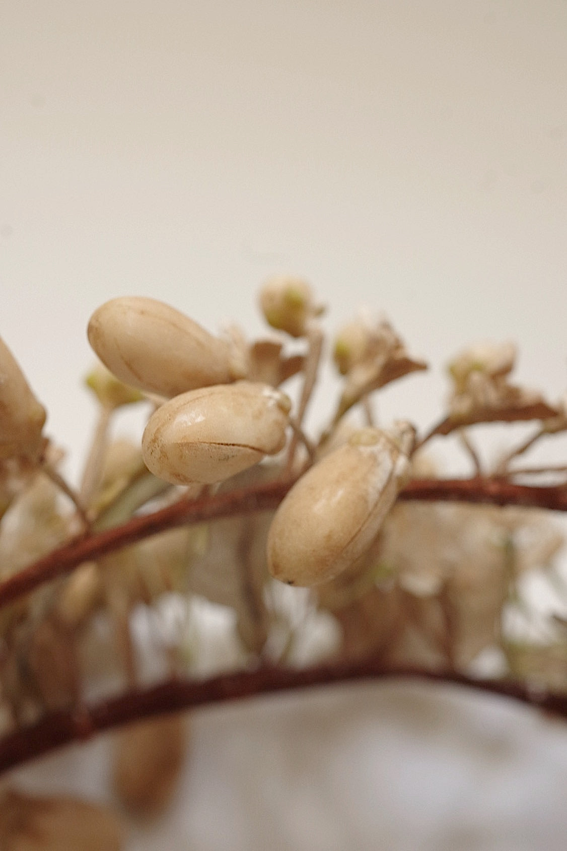 アンティークマリアージュ花/antique MARIEE FLEURS EN CIRE FLEUR ORANGER .FR a l'epoque