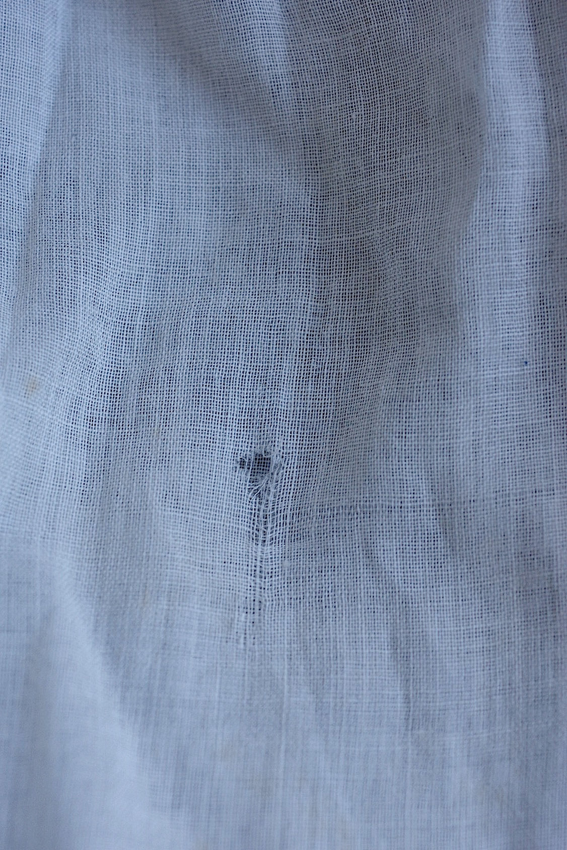 Antique lace plastron antique plastron + sleeves