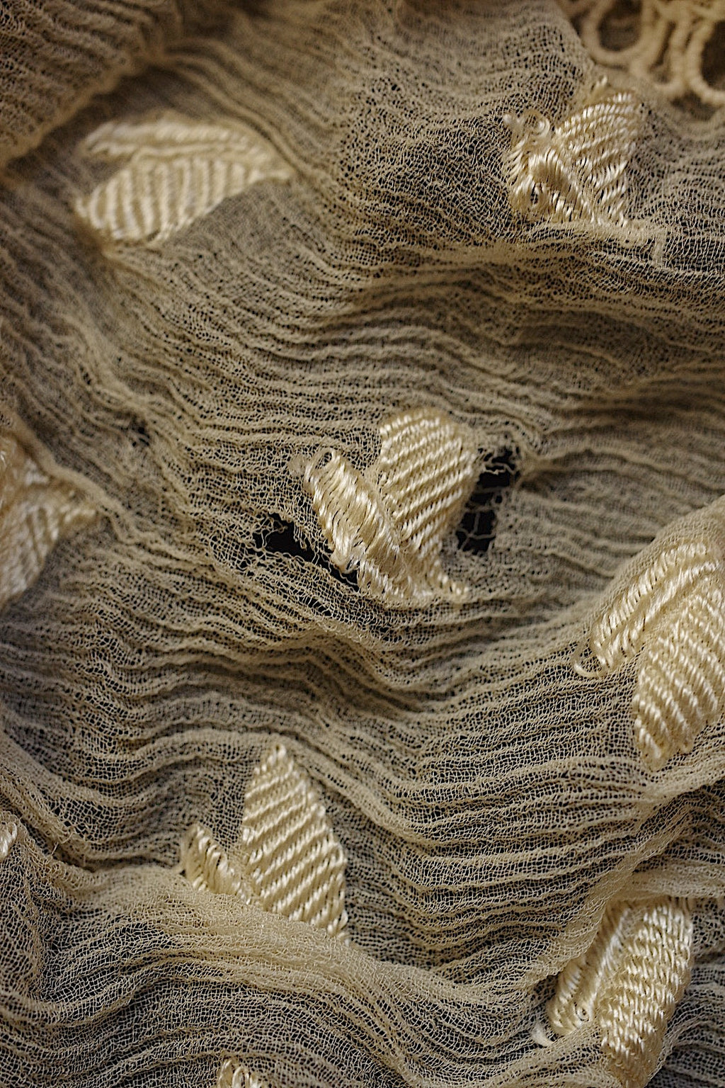 Dentelle ancienne ancienne Charlotte