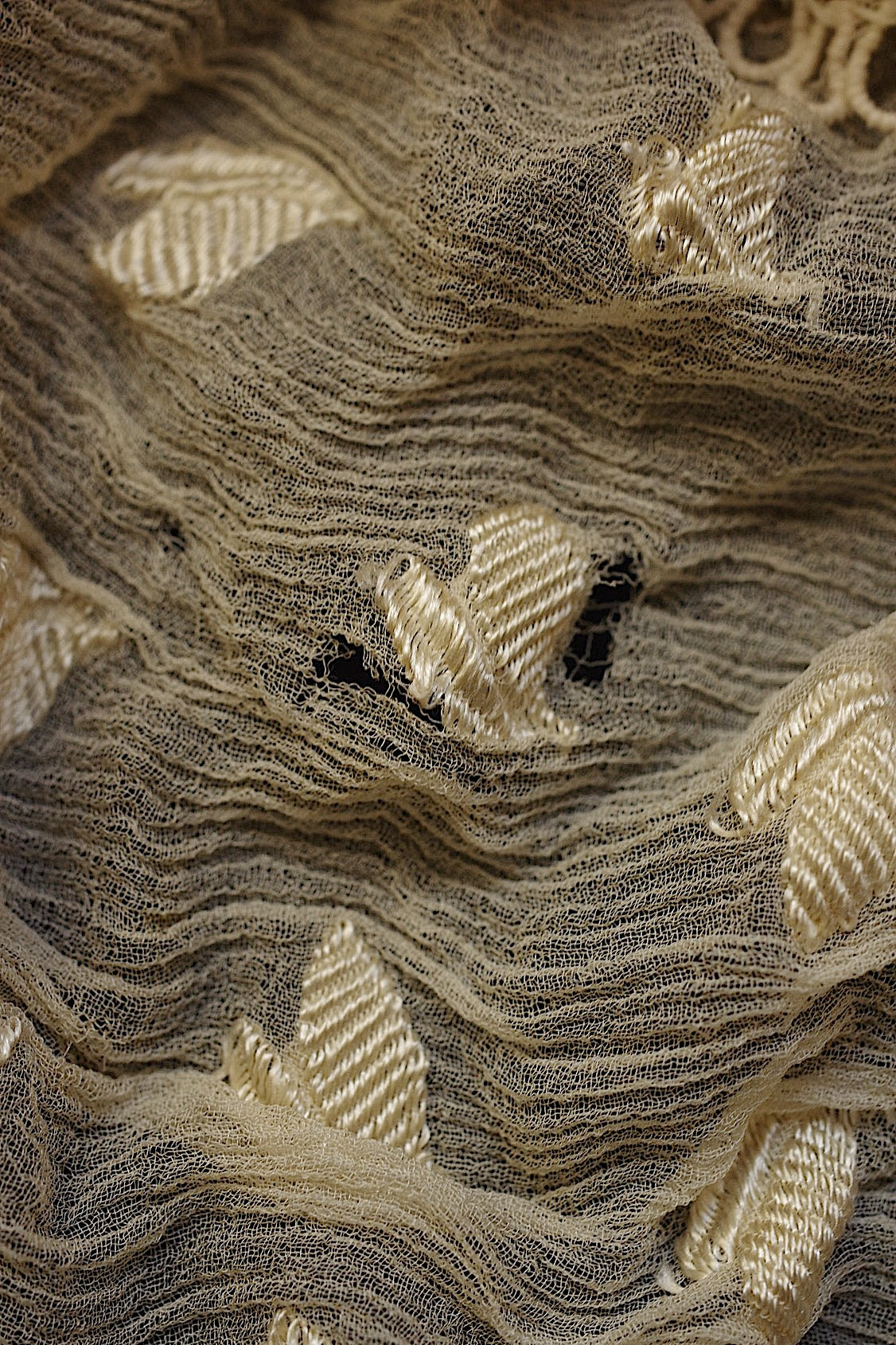 Dentelle ancienne ancienne Charlotte