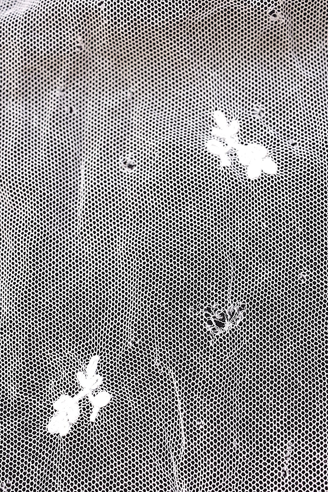 Tissu dentelle ancienne dentelle ancienne voile