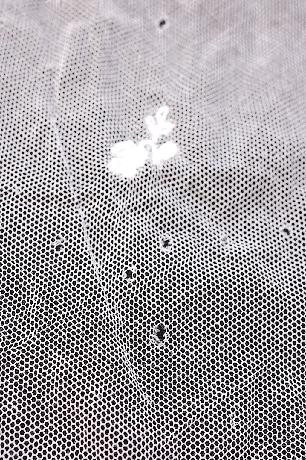 Tissu dentelle ancienne dentelle ancienne voile