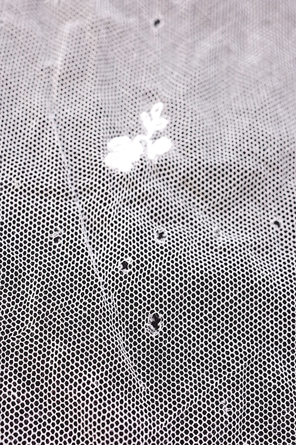 Tissu dentelle ancienne dentelle ancienne voile