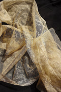 アンティークレース　dentelle ancienne　320cm