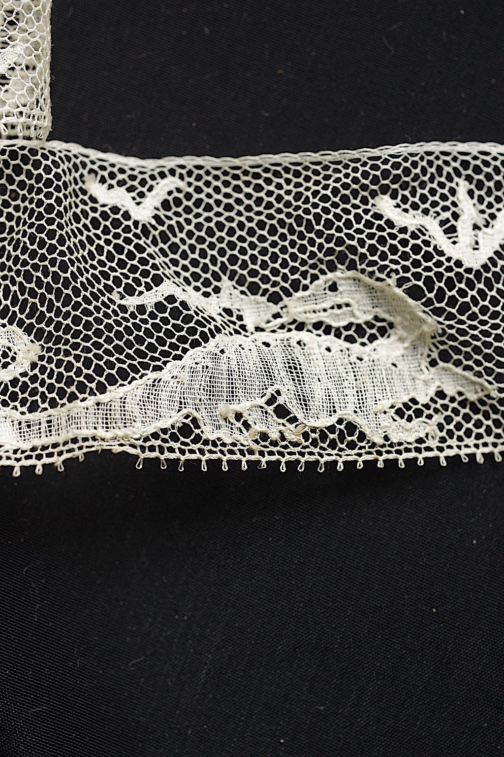 アンティークレース　dentelle ancienne　Salamandre　1036cm