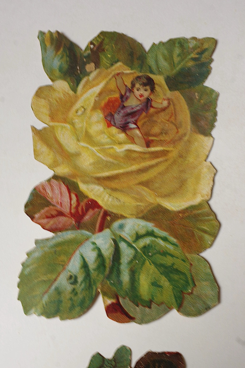 アンティークデコパージュ　papier antique lot