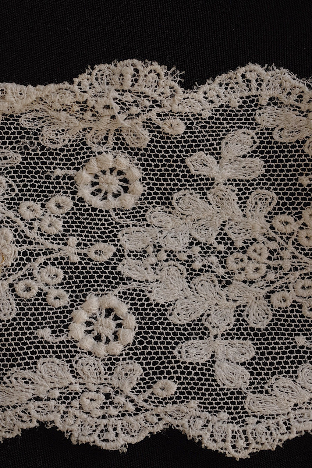 Antique Lace (dentelle ancienne) 387 cm