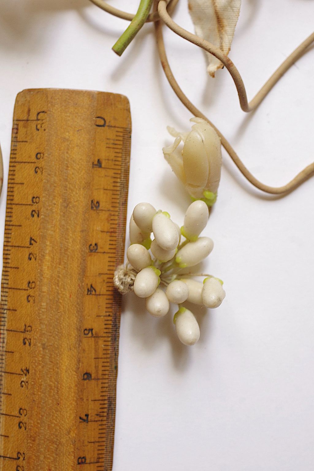 アンティーク花冠　Couronne de mariée ancienne