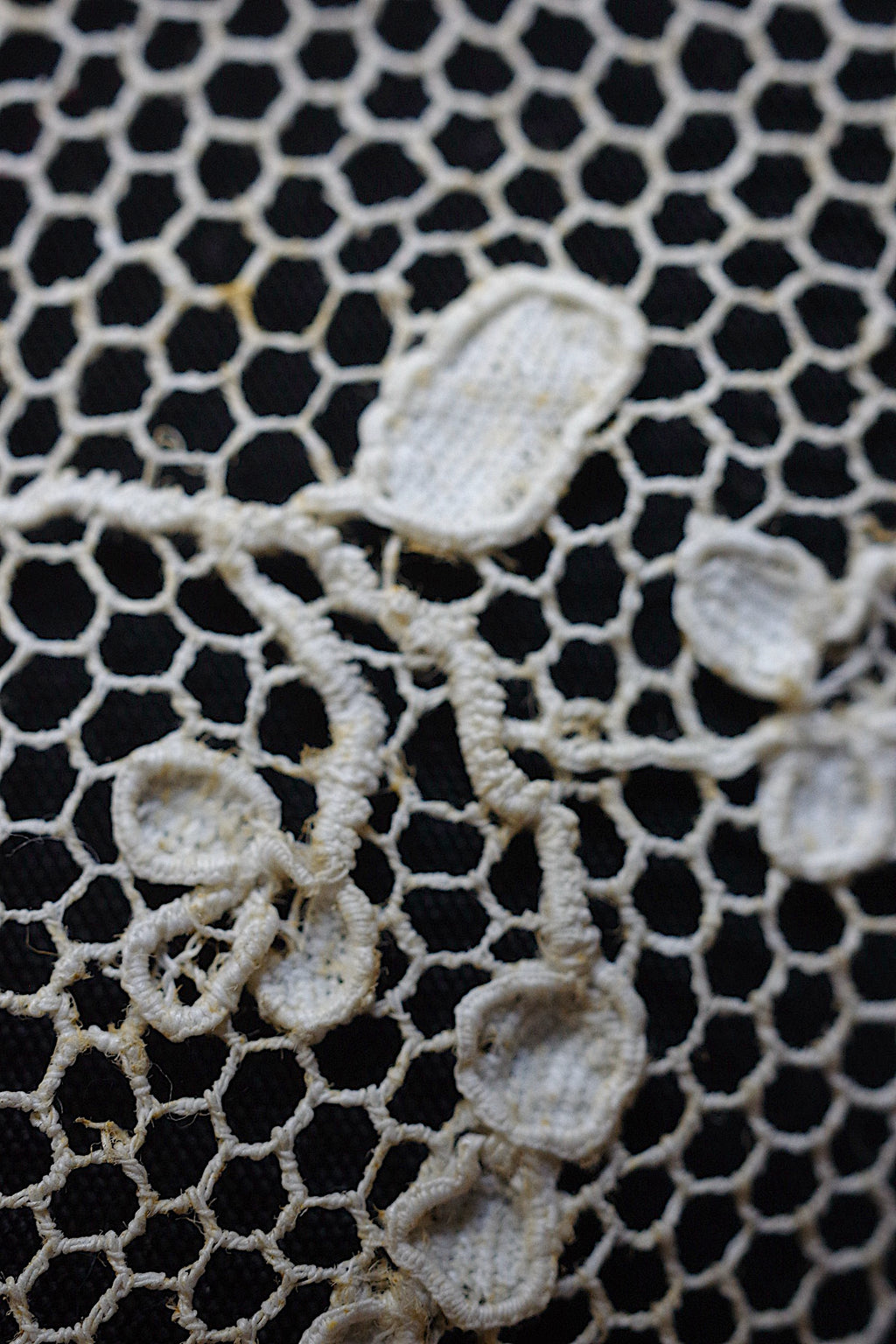 アンティークレース dentelle ancienne　アランソンレース284cm