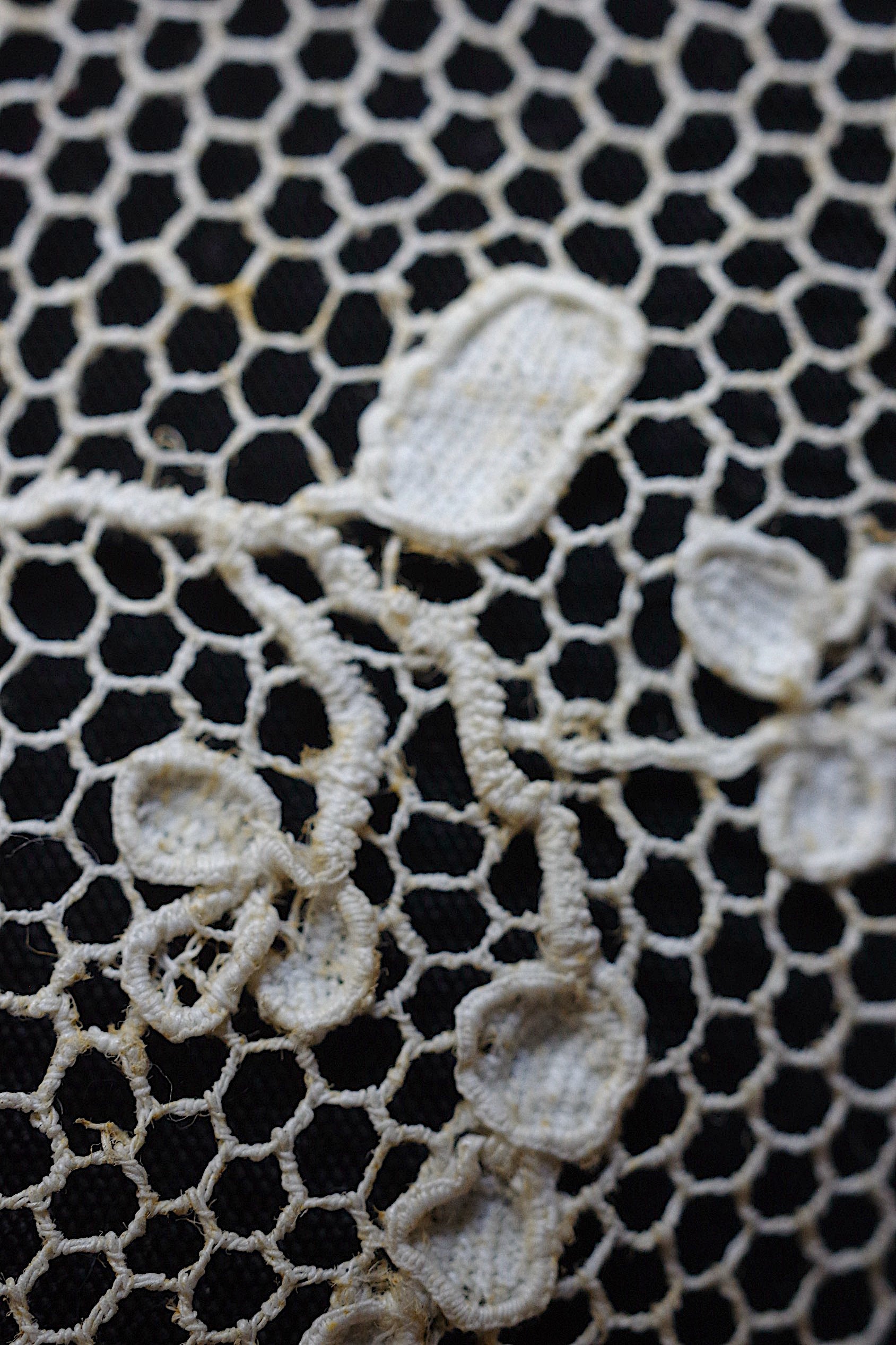 アンティークレース dentelle ancienne　アランソンレース284cm