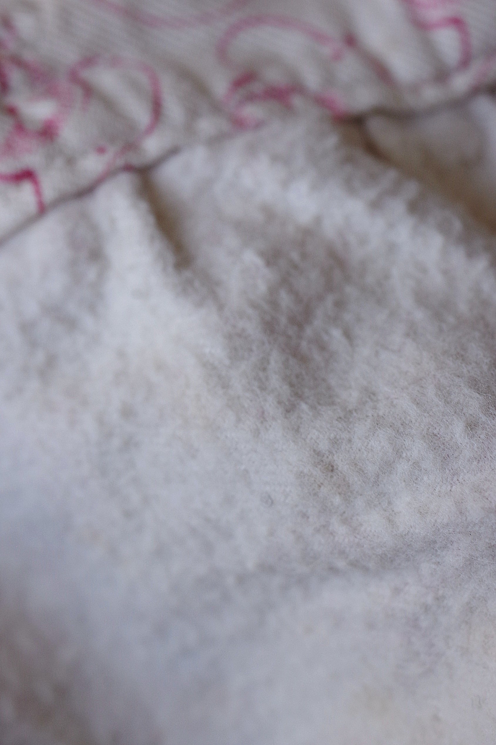 アンティークキュロット　vêtement antique　culotte