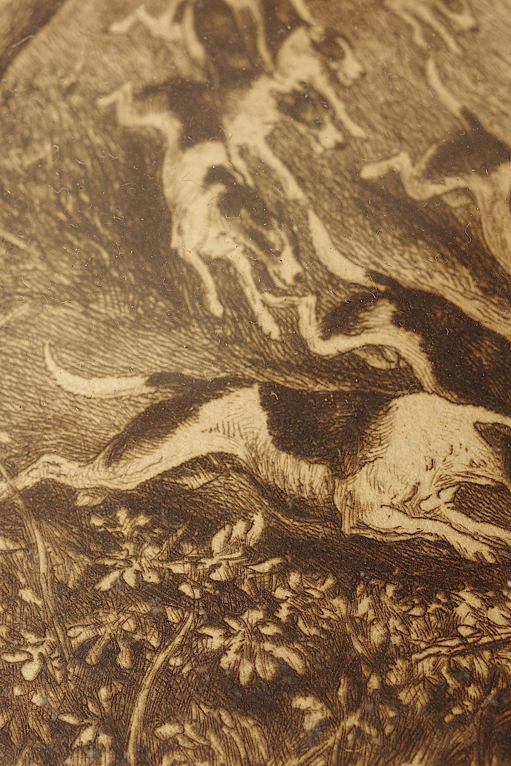 アンティーク絵画　tableau etching
