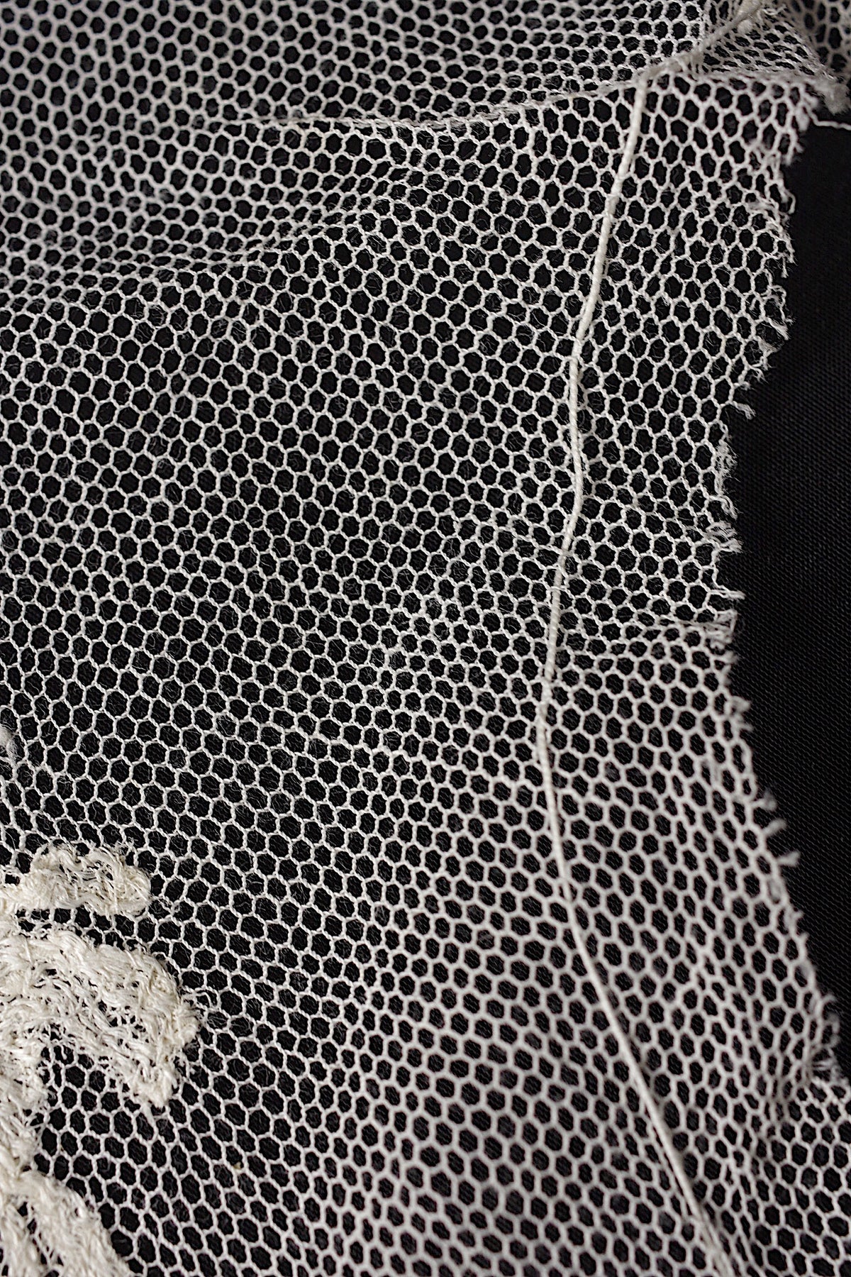 アンティークレース dentelle ancienne 襟2つ