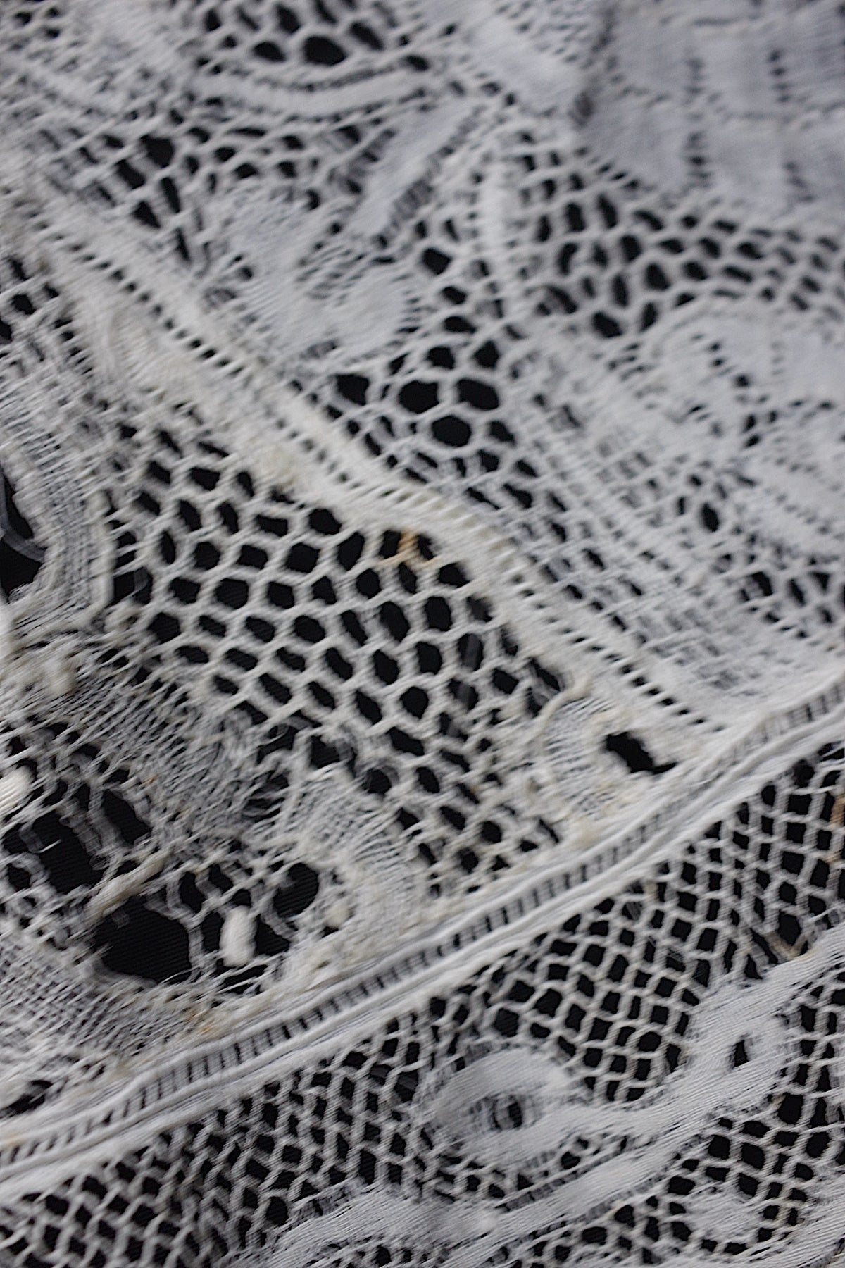 アンティークレース dentelle ancienne 襟2つ