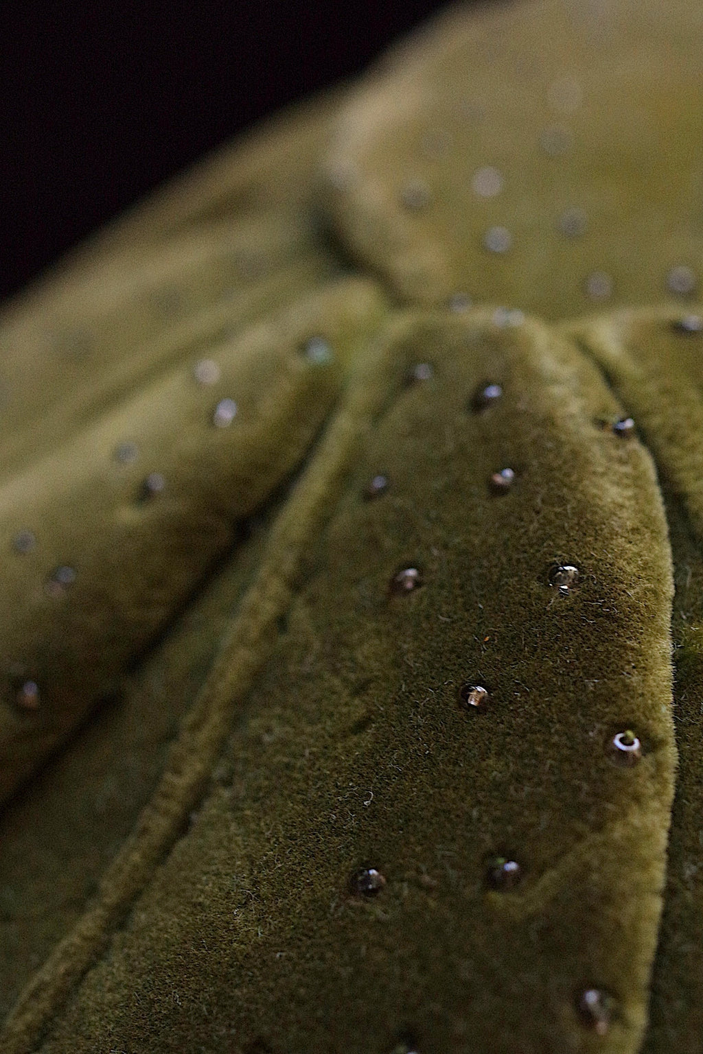 アンティーク帽子 chapeau ancien 葉っぱ 9