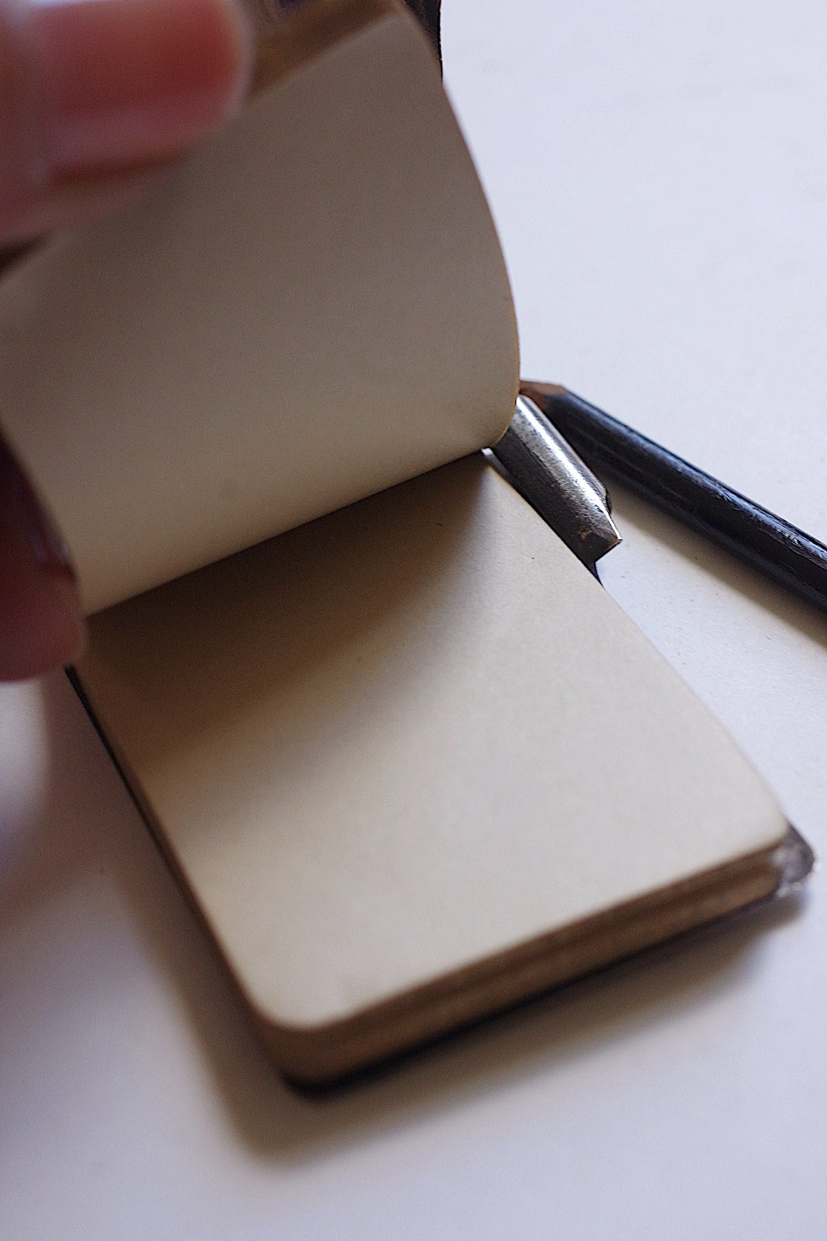 アンティークカルネドゥバル antique carnet de bal 12