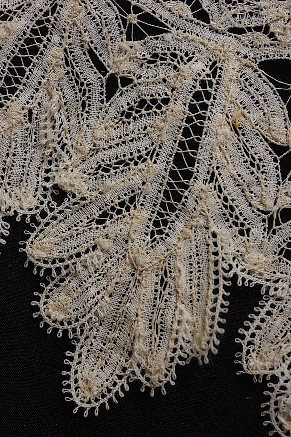 アンティークレース dentelle ancienne 100cm 4