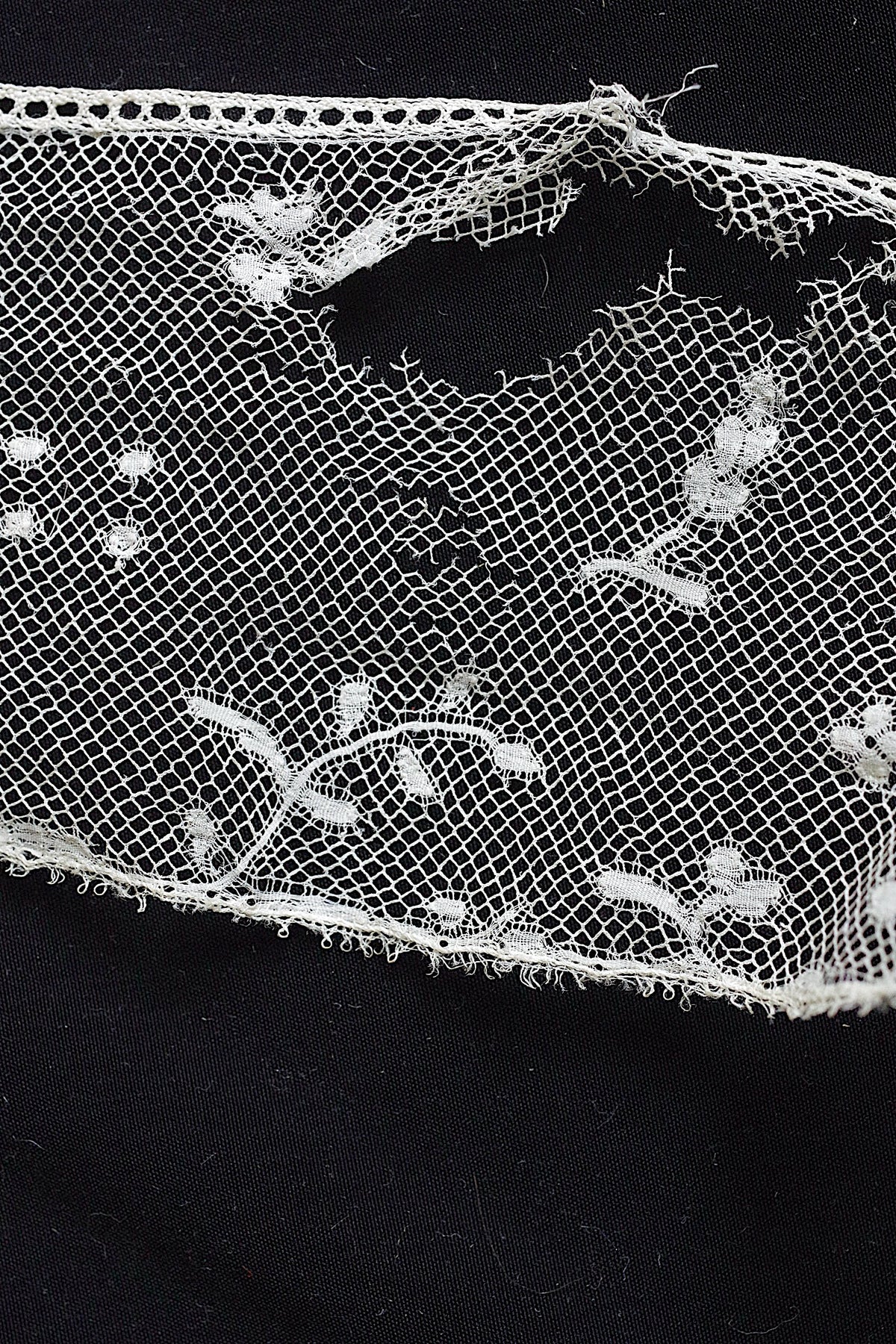 アンティークレース dentelle ancienne 150cm 294cm 5
