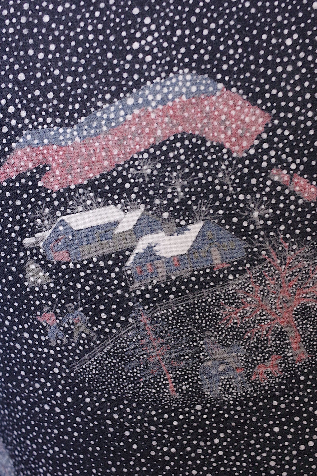 ヴィンテージワンピース vêtement vintage daniel hechter 雪 8