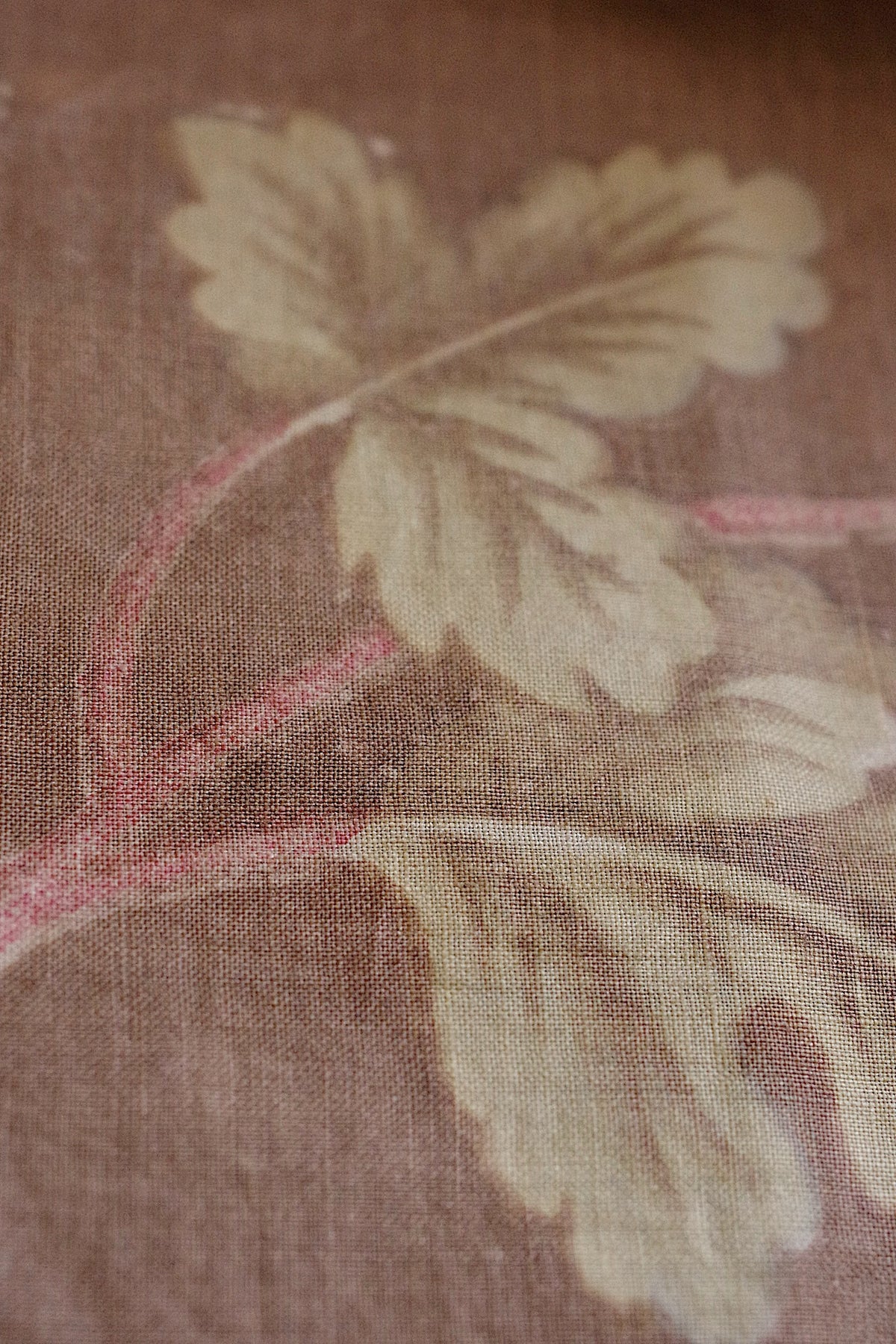 アンティーク生地 tissu ancien Chintz 19