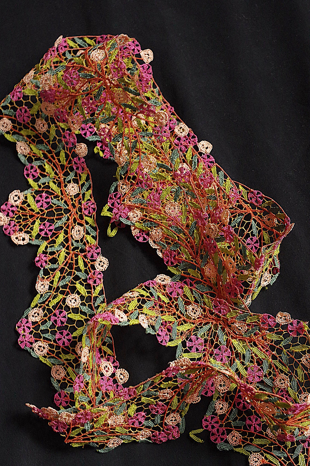 アンティークレース dentelle ancienne 色レース170cm 2