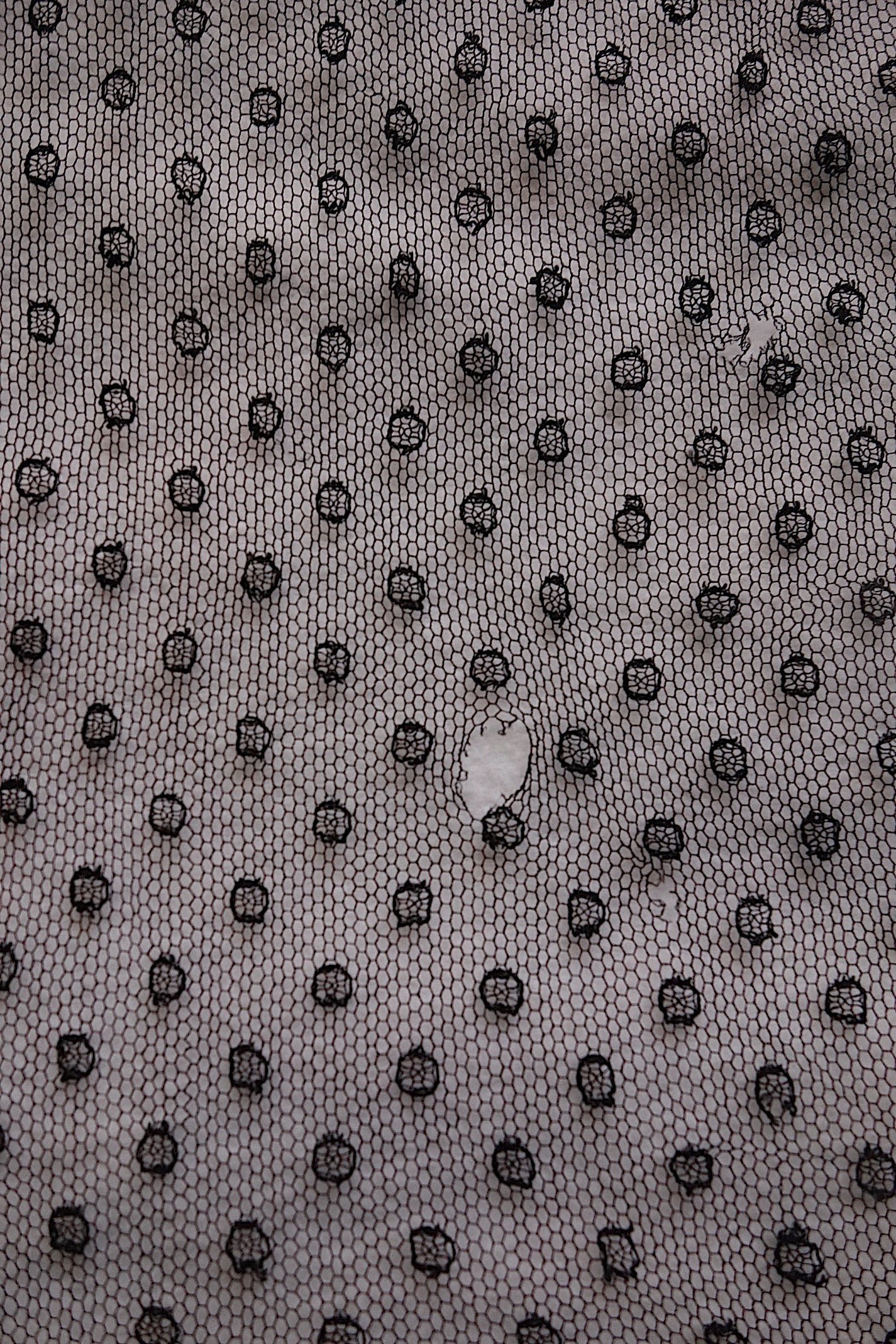 アンティークレース 黒レース　lots1 ブロンド