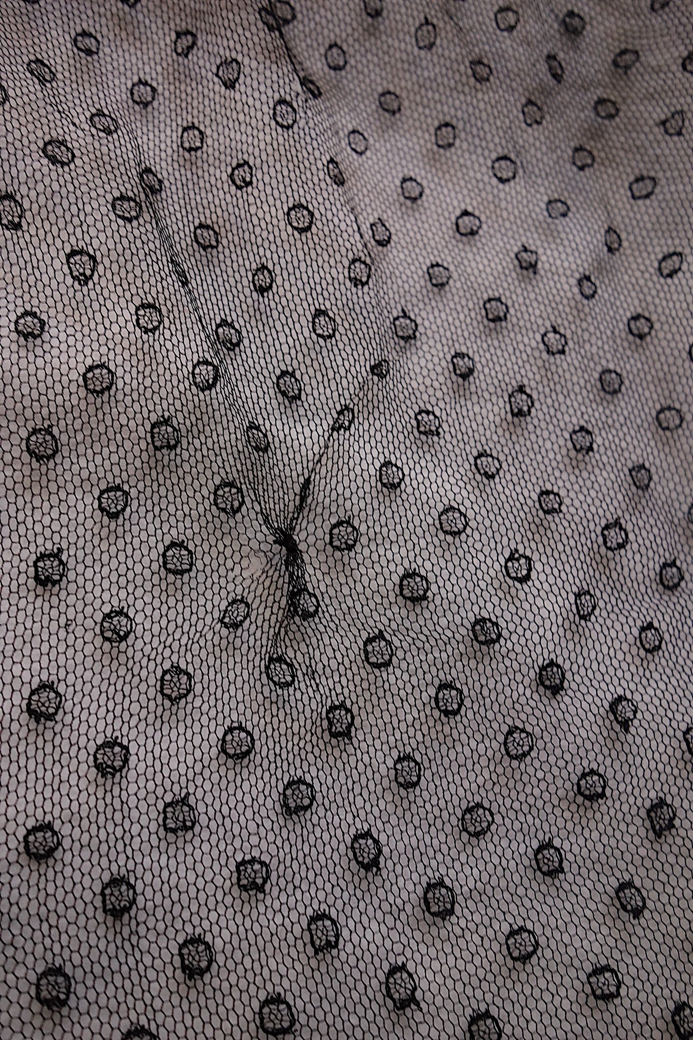 アンティークレース 黒レース　lots1 ブロンド