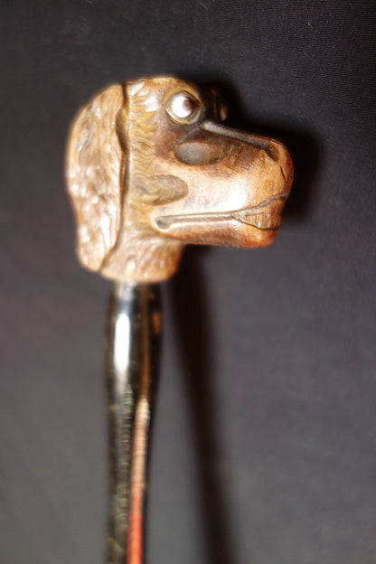 ヴィンテージ傘　わんこ