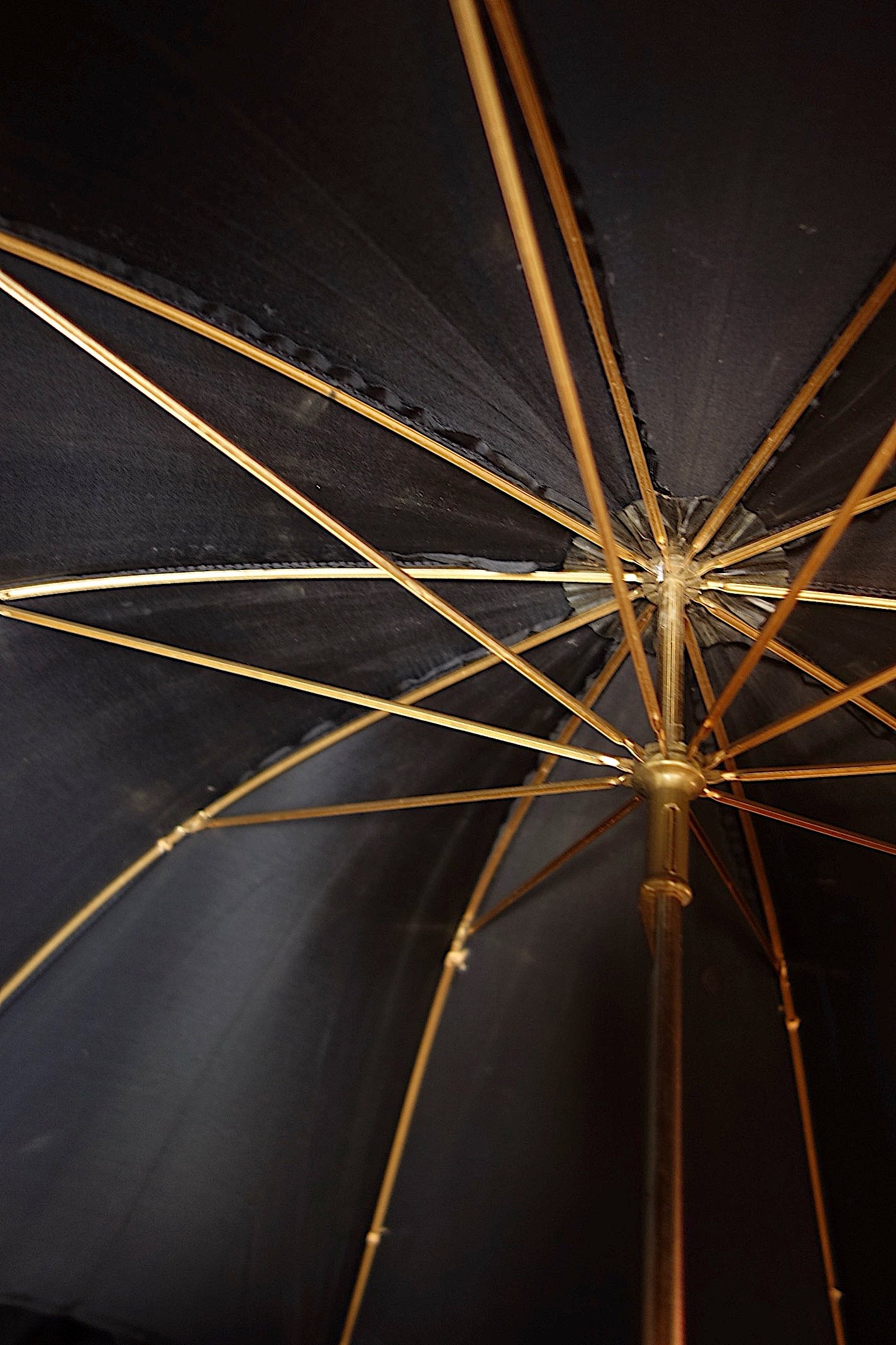 ヴィンテージ傘　わんこ