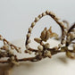 アンティークティアラ　antique COURONNE DE MARIEE .FR a l'epoque