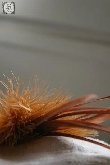 corsage アンティーク　飾り羽 .FR A Ll'EPOQUE