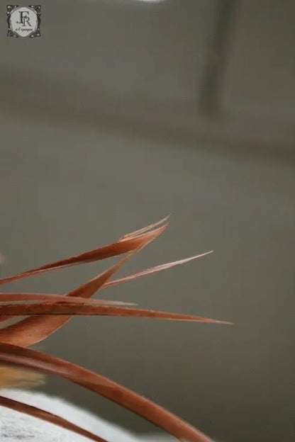 corsage アンティーク　飾り羽 .FR A Ll'EPOQUE