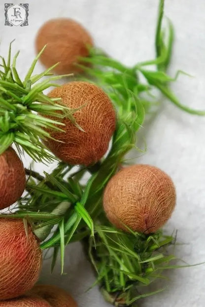 corsage ヴィンテージ　コサージュ　 実　赤オレンジ .FR A Ll'EPOQUE