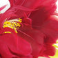 アンティークヘアバンド　décoration florale antique 花 .FR a l'epoque