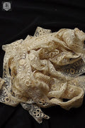 アンティークレース　dentelle ancienne 10m70cm .FR a l'epoque