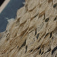 アンティークレース　dentelle ancienne antique lace 840cm .FR a l'epoque