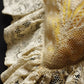 アンティークレース dentelle antique レース装飾 クッション .FR a l'epoque