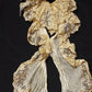 アンティークレース　dentelle antique lace プリーツレース　ジャボ .FR a l'epoque