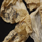 アンティークレース　dentelle antique lace プリーツレース　ジャボ .FR a l'epoque