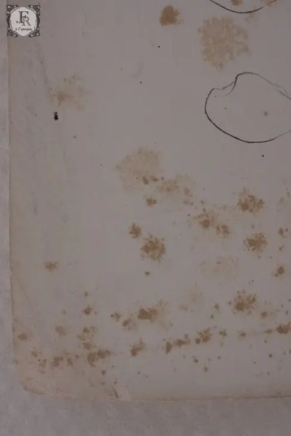 document  アンティーク　印刷物　貝　２ .FR A Ll'EPOQUE