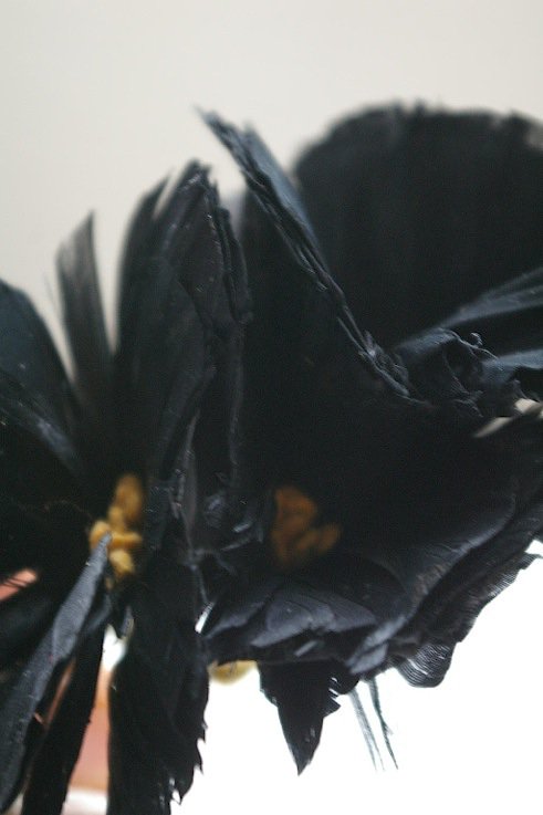 corsage corsage vintage plumes noires